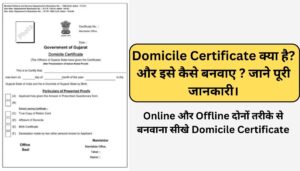 Read more about the article Domicile Certificate क्या है? और इसे कैसे बनवाए ? जाने पूरी जानकारी।